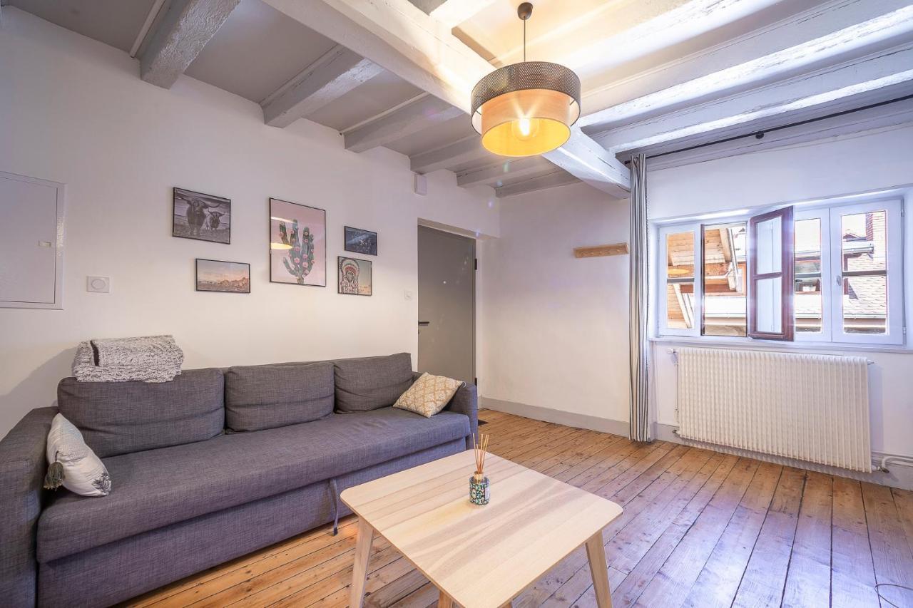 Bel Appartement, 2 Chambres, Annecy Coeur De Ville Ngoại thất bức ảnh